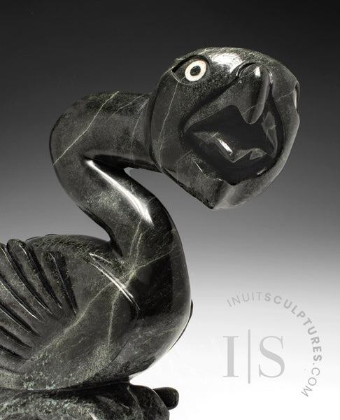 25" SIGNATURE Dancing Bird by Toonoo Sharky *Lionheart*