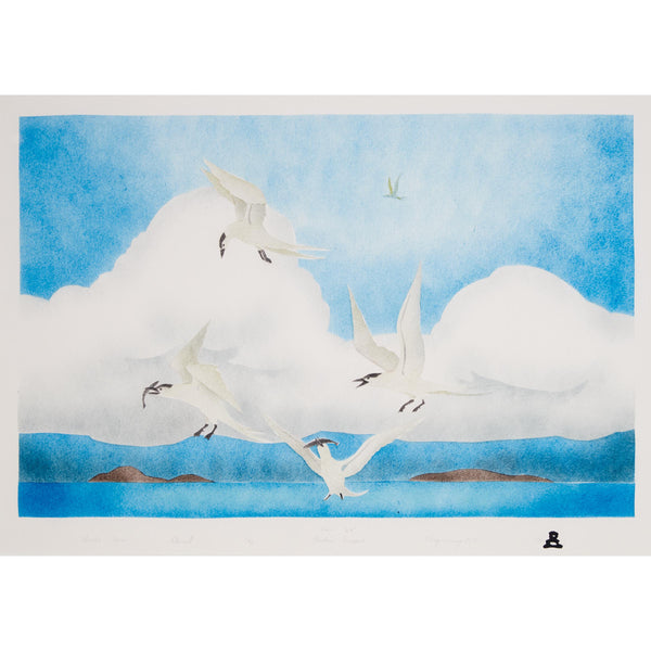LAST PRINT / VINTAGE Arctic Birds by Andrew Karppiq 1999