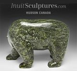 7" Walking Bear  by Noah Jaw *Marshall*