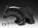 7" Walking Bear by Tony Oqutaq *Walk About*