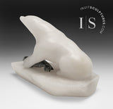 6" Polar Bear and Seal by Adrian Vaneindhoven *Surfing Dudes*