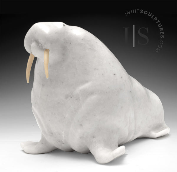 VINTAGE 13" Basking Walrus by Jimmy Kopak *Sagacious*