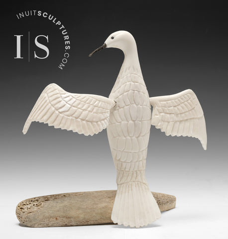 10" Majestic Bird by Harrison Miklahook Jr. *Angel Wings*