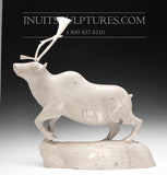 21" Museum Sculpture Camouflage Caribou (2001) by Master Carver Moses Koonark