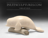 7" Satin Beluga Whale by Daniel Shimout