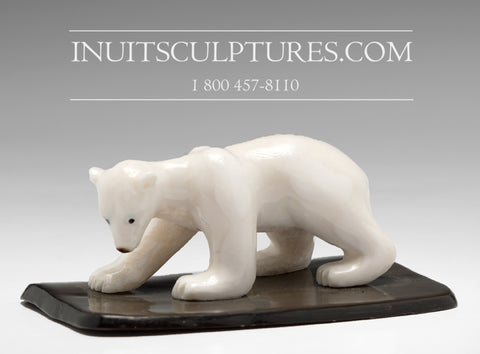 3" Miniature Ivory Bear by Tarsis Pillakapsi