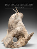 18" Walrus by Jaco Ishulutak *Sun Bather*