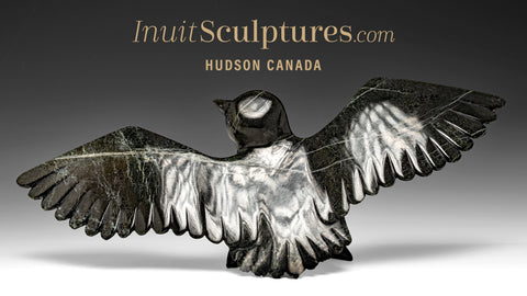 16" Hawk  Killiktee Killiktee