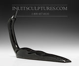 10" Black Loon by Ning Ashoona