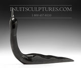 10" Black Loon by Ning Ashoona