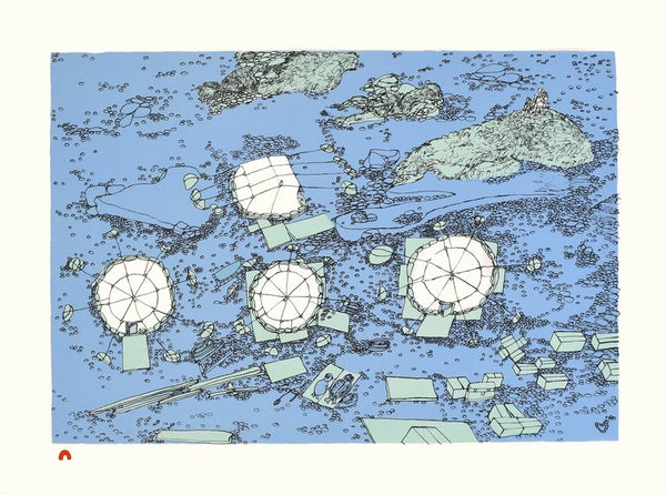 2022 LAST PRINT Dorset Collection by SHUVINAI ASHOONA *On The Land*