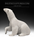 17" Sitting Bear by World Famous Paul Malliki