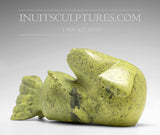 10" Cuddly Harp Seal by Sammy Kolola