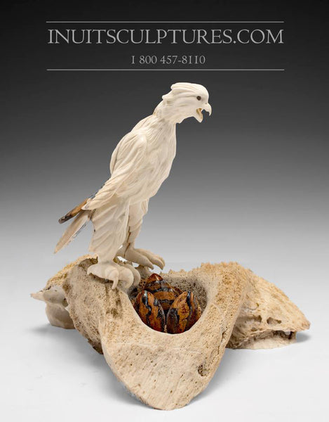 8" Hawk by Damien Iquallaq *A Love That Will Not Fail*