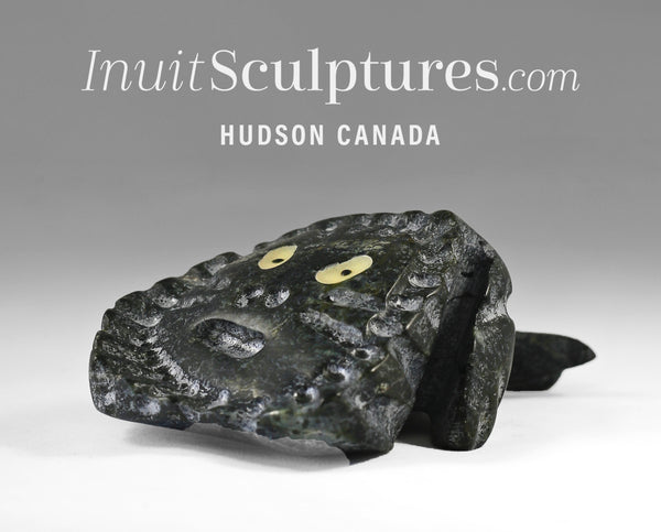 7" Fish Transformation by Clayton Keknek *Minnow*