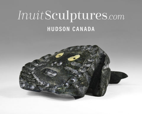 7" Fish Transformation by Clayton Keknek *Minnow*