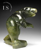 17" Bear by Jaco Ishulutaq Iconic *Godzilla* CURATOR'S CHOICE