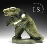 17" Bear by Jaco Ishulutaq Iconic *Godzilla* CURATOR'S CHOICE