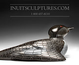 13" Curious Loon by Jimmy Iqaluq