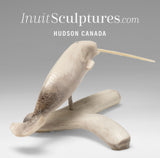 6" Narwhal by Tony Atsanik *Mercury Rising*