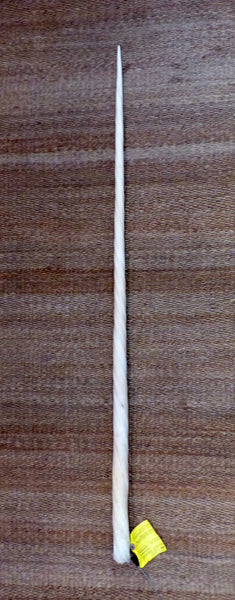 37.5" Narwhal Tusk