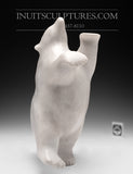 14" Chubby White Marble Dancing Bear by Nuna Parr