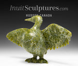 10" Goose by Pudlalik Shaa *Matador*