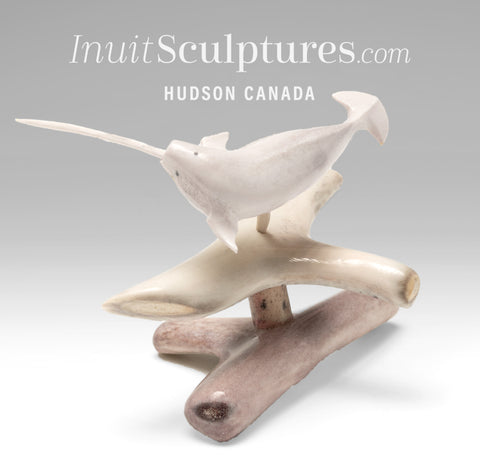6" Narwhal by Tony Atsanik *Currents Affairs*