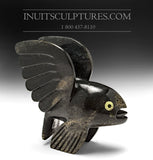 7" Flying Fish by Toonoo Sharky