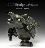 14"  SIGNATURE Dancing Bird by Toonoo Sharky *Glee*