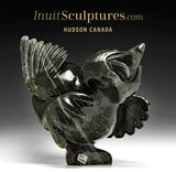 14"  SIGNATURE Dancing Bird by Toonoo Sharky *Glee*