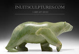 16" Unique Colored Walking Bear by Tuk Nuna