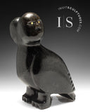 13" Owl Man by Kupapik Ningeocheak *Fraternal Twins*