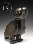 13" Owl Man by Kupapik Ningeocheak *Fraternal Twins*
